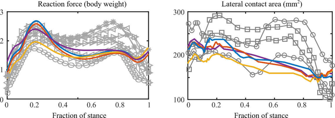 Fraction of Stance