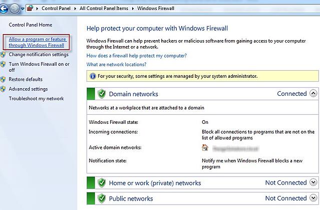 SIMULIA Abaqus Firewall Exceptions.jpg